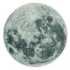 Moon Gray 5 Ft. Round Area Rug By Mohawk Home | * Sale