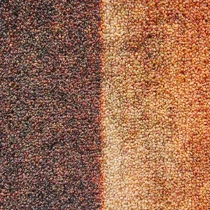 Rustburn Brown 8 Ft. X 10 Ft. Abstract Area Rug By Mohawk Home | * Hot